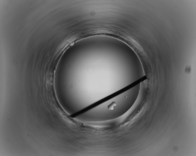 X0000091450793200708161257