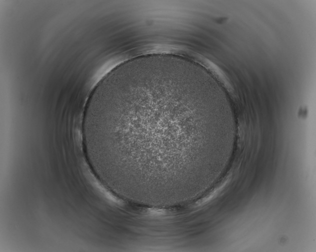 X0000091450794200708161257