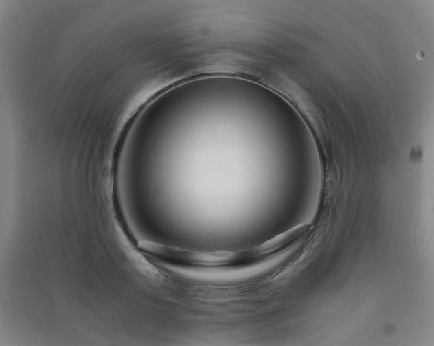 X0000091450795200708161257