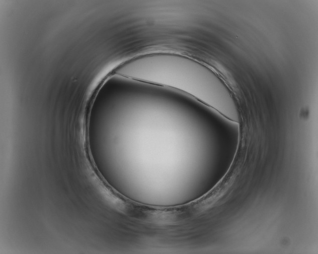 X0000091450796200708161257