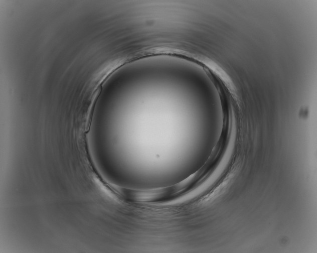 X0000091450801200708161257