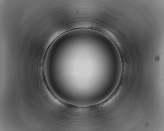 X0000091450802200708161257