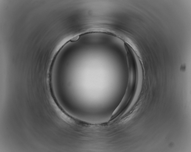 X0000091450803200708161257