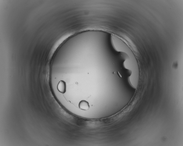 X0000091450804200708161257