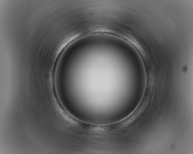 X0000091450806200708161257
