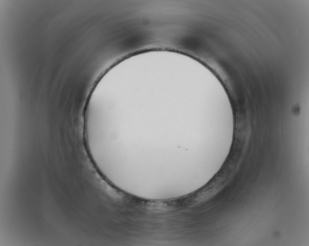 X0000091450807200708161257
