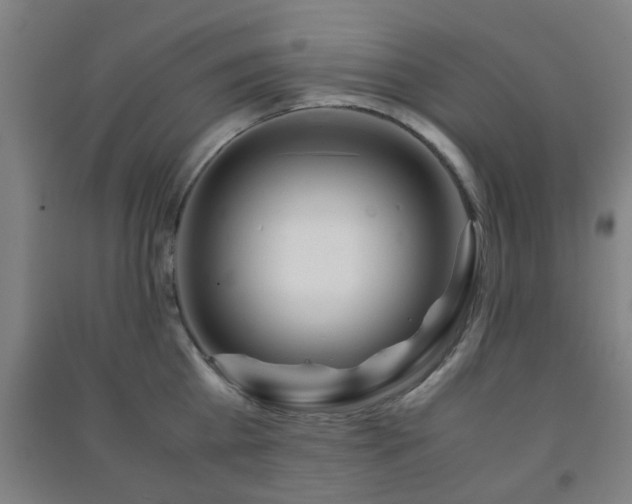 X0000091450809200708161257