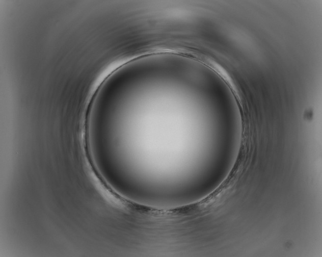 X0000091450811200708161257