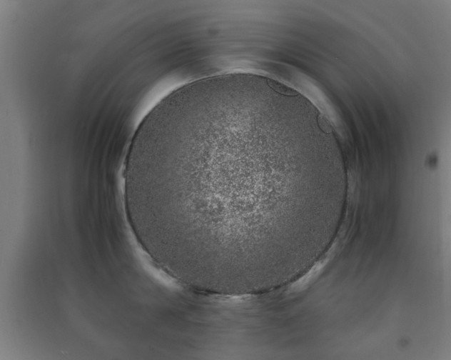 X0000091450814200708161257