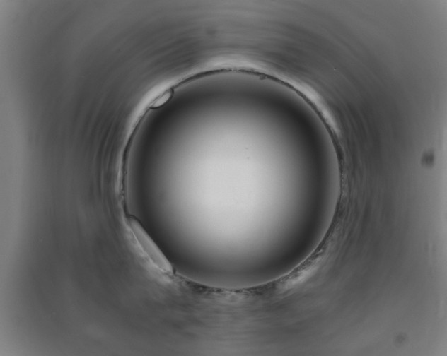 X0000091450815200708161257