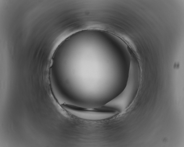 X0000091450816200708161257