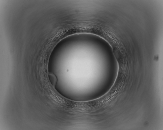 X0000091450817200708161256