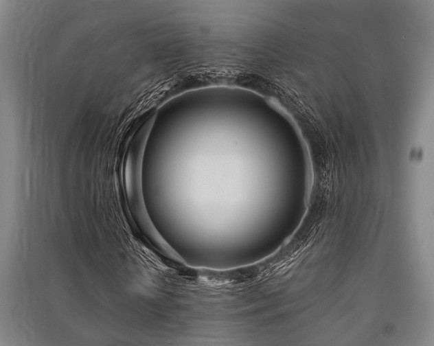 X0000091450818200708161256