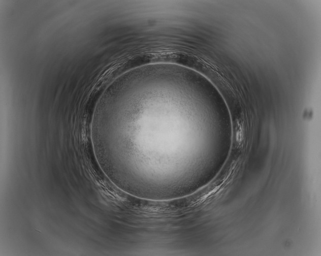 X0000091450819200708161256