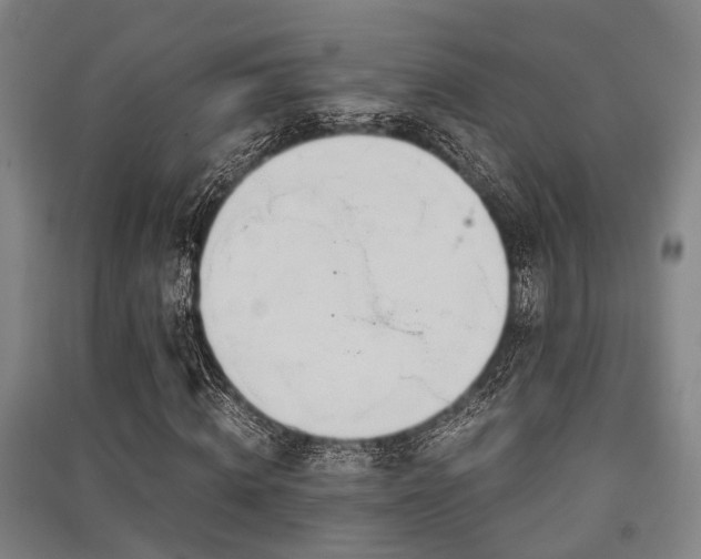 X0000091450820200708161256