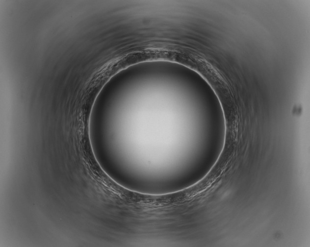 X0000091450821200708161256