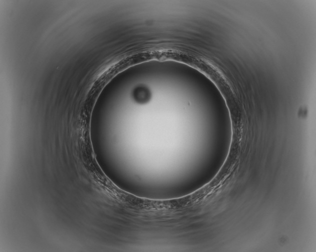 X0000091450823200708161256