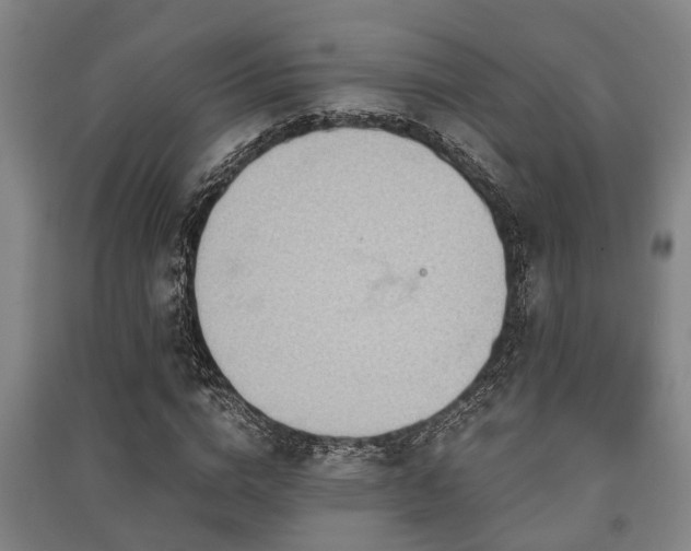 X0000091450824200708161256