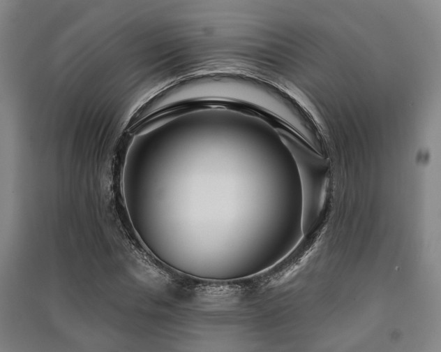 X0000091450826200708161256