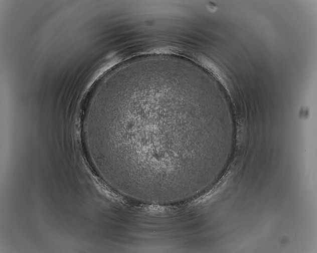 X0000091450827200708161256