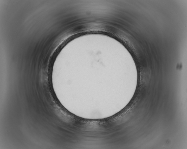 X0000091450828200708161256