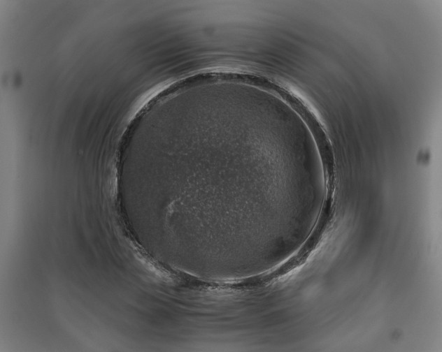 X0000091450829200708161256