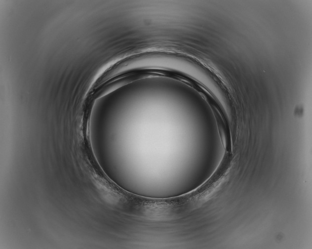 X0000091450830200708161256