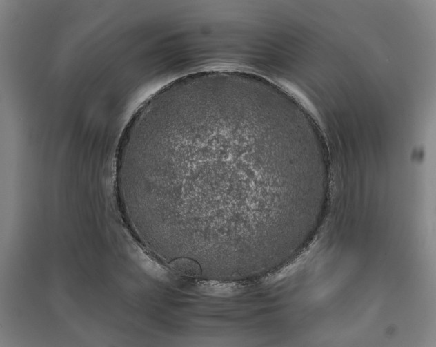 X0000091450831200708161256