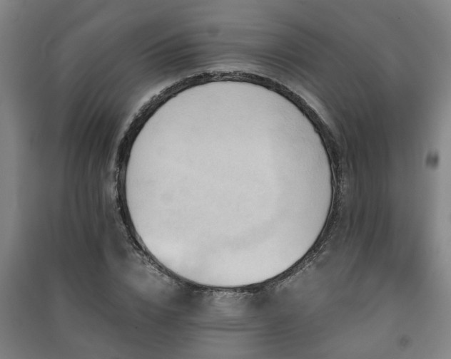 X0000091450832200708161256