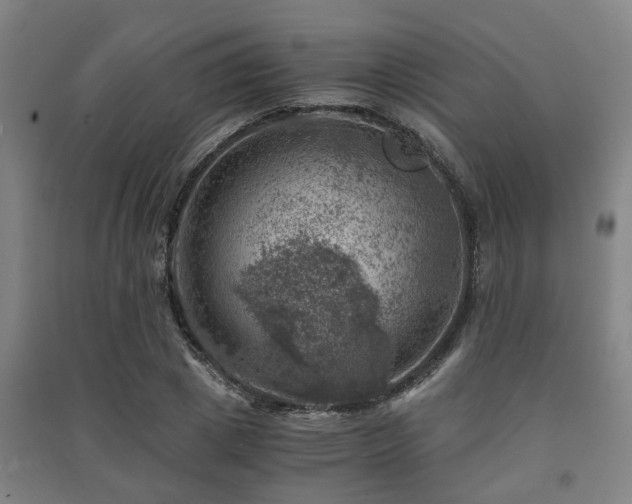 X0000091450833200708161256