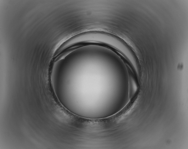 X0000091450834200708161256