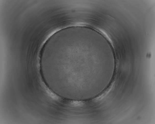 X0000091450835200708161256