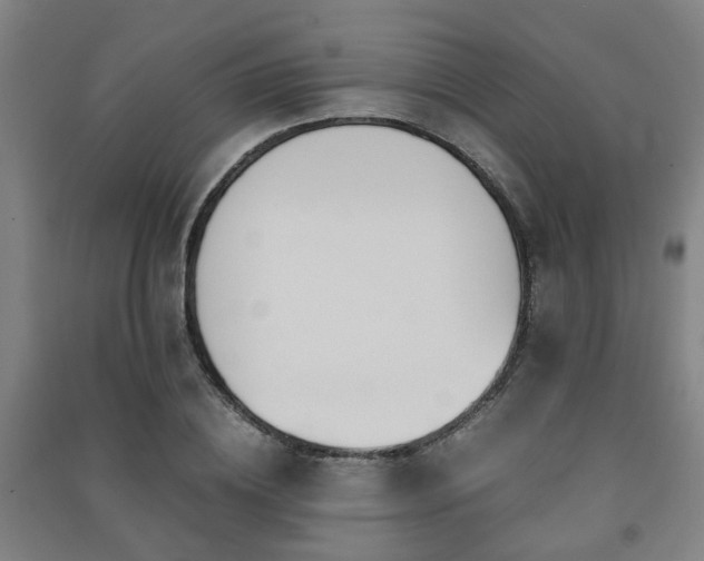 X0000091450836200708161256