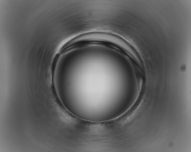 X0000091450838200708161256