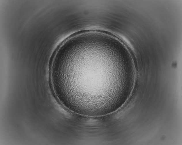 X0000091450839200708161256