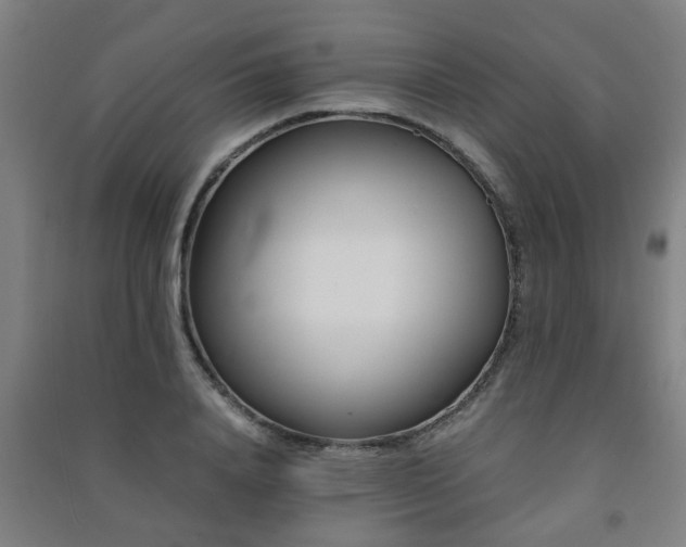 X0000091450840200708161256