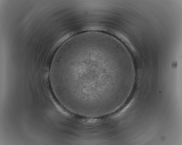 X0000091450841200708161256