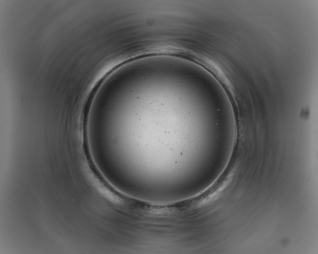 X0000091450843200708161256