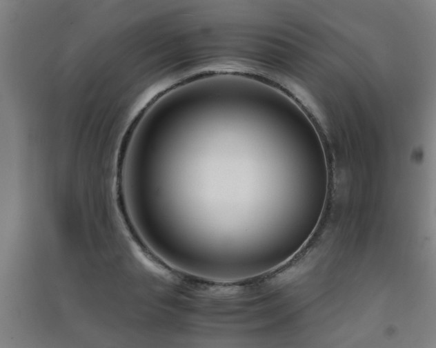 X0000091450845200708161256