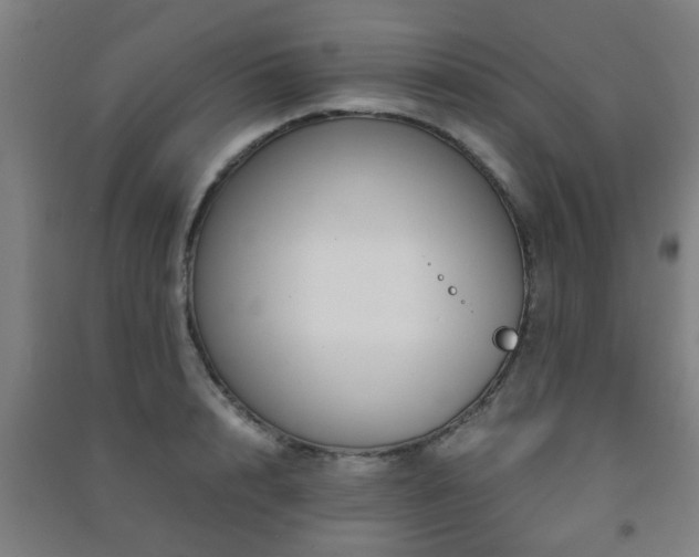X0000091450848200708161256