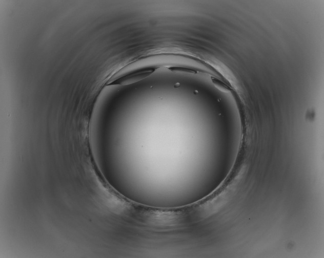 X0000091450849200708161256