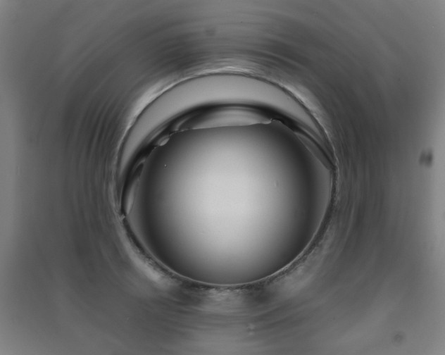X0000091450850200708161256