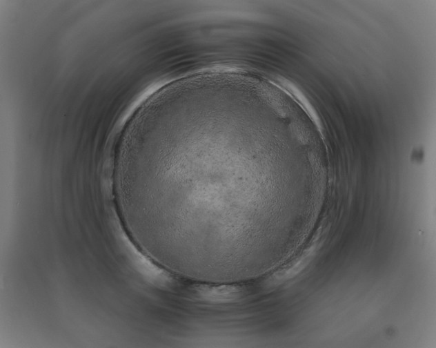 X0000091450851200708161256