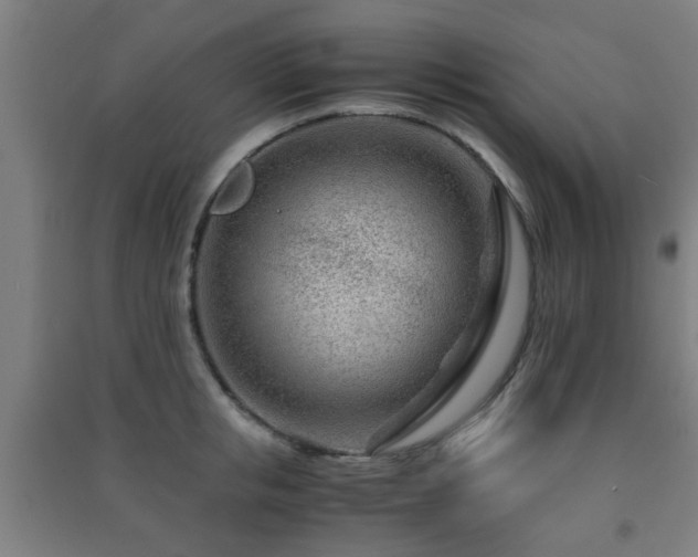 X0000091450853200708161256