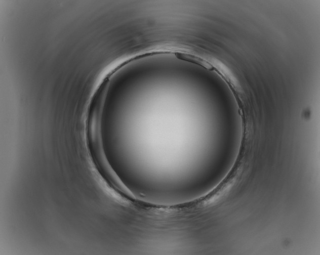 X0000091450854200708161256