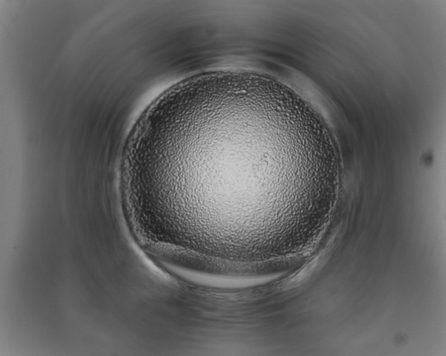 X0000091450855200708161256