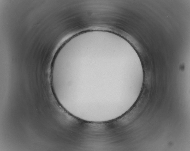 X0000091450856200708161256
