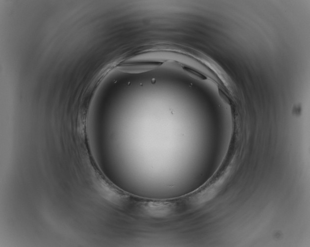 X0000091450857200708161256