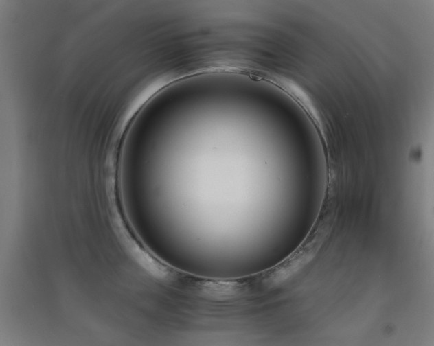 X0000091450859200708161257