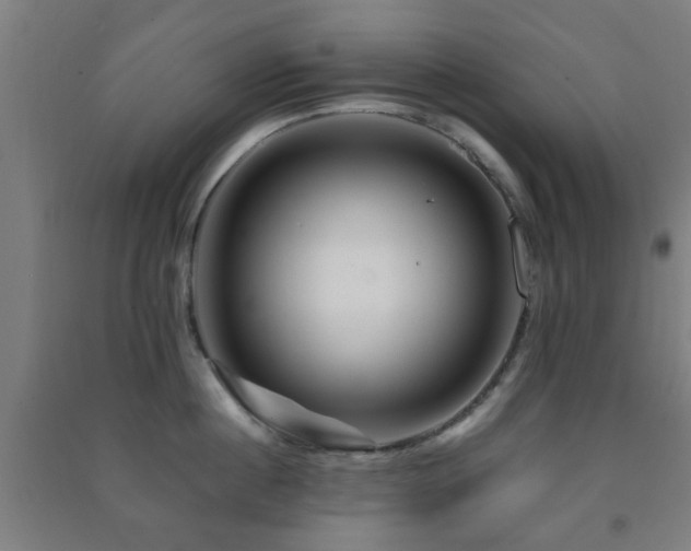 X0000091450860200708161257